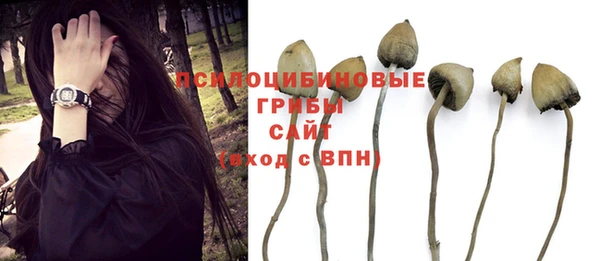 эйфоретик Алексин
