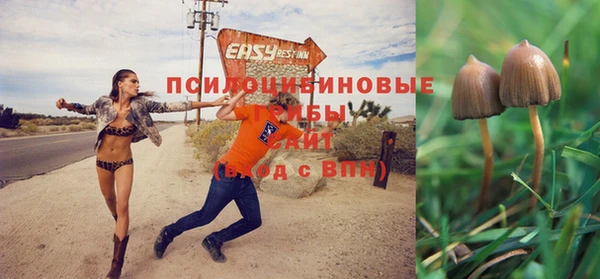 эйфоретик Алексин