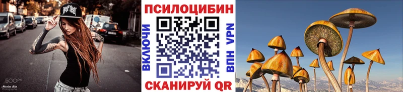 Галлюциногенные грибы Psilocybe  купить закладку  Рубцовск 